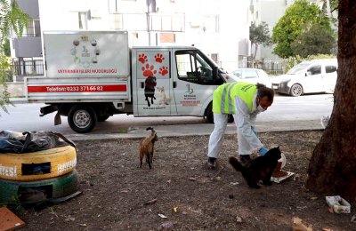 Bayraklı Belediyesi, sokağa çıkma kısıtlamasında da can dostları unutmadı